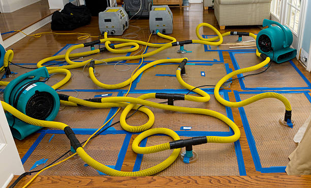 Professional Crawl Space Water Removal technician working in Crestwood, KY